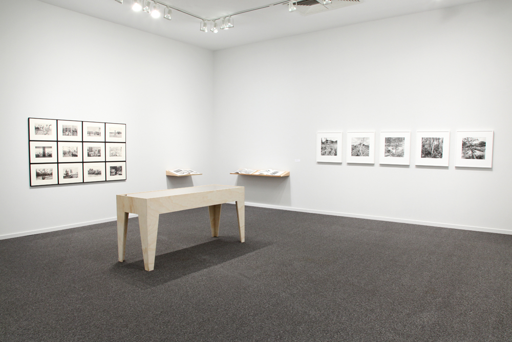 Lee Friedlander Thick Of Things The Polygon Gallery