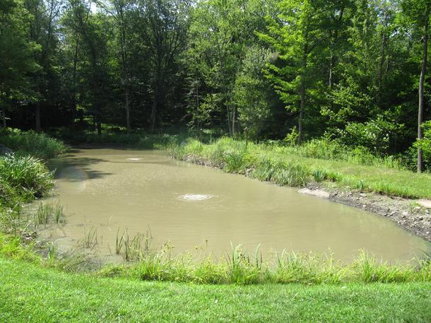 Connecticut Common Pond & Lake Problems NJ, NY, CT