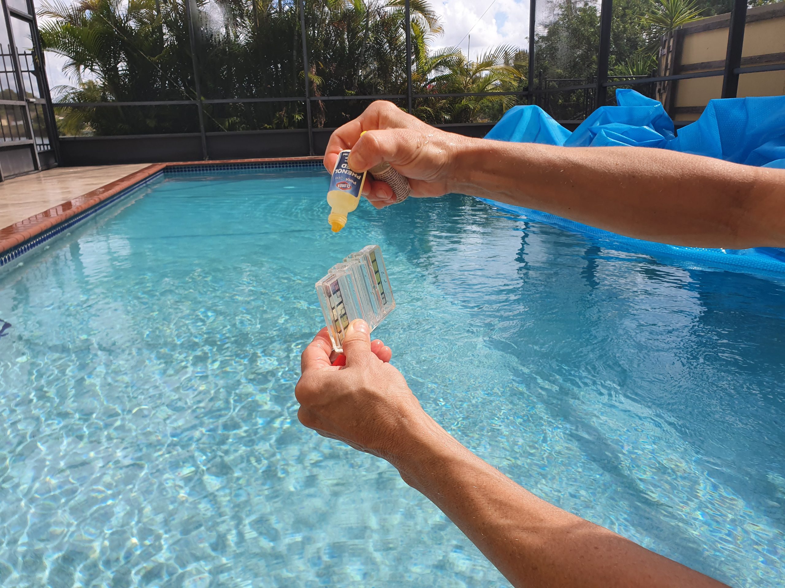 Cape Coral Pool Cleaning full service 70/month with 1 year agreement