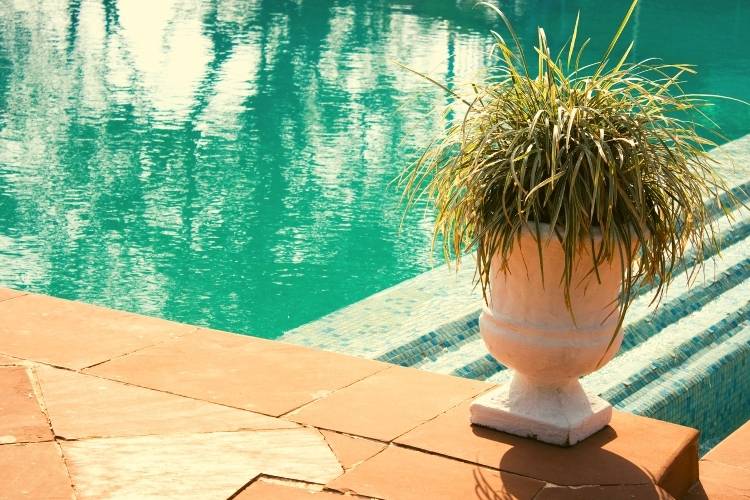 Natural Pool Cleaners as a Healthy Alternative to Chlorine 2024