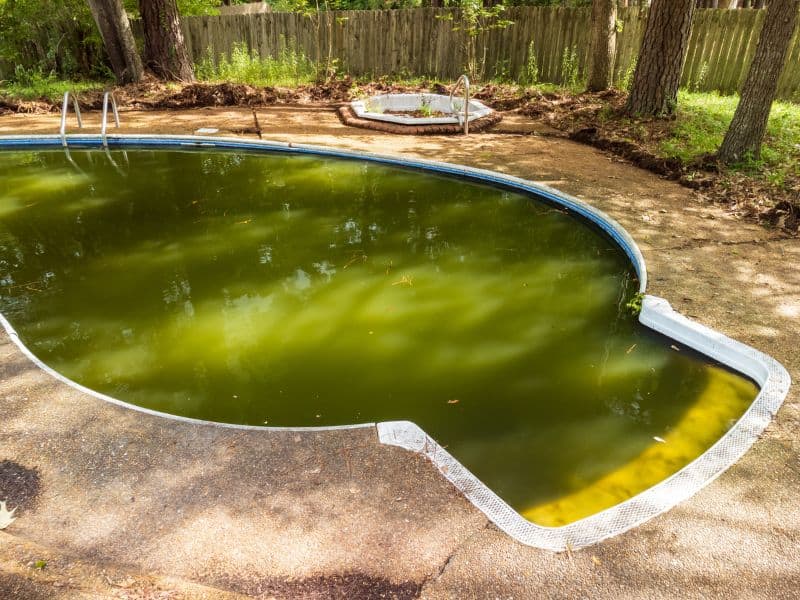 Green Algae on Pool Walls Common Mistakes to Avoid 2024