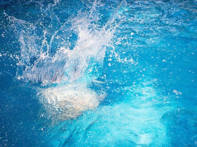 Top Hidden Dangers of Swimming in Untreated Pools Essential Awareness