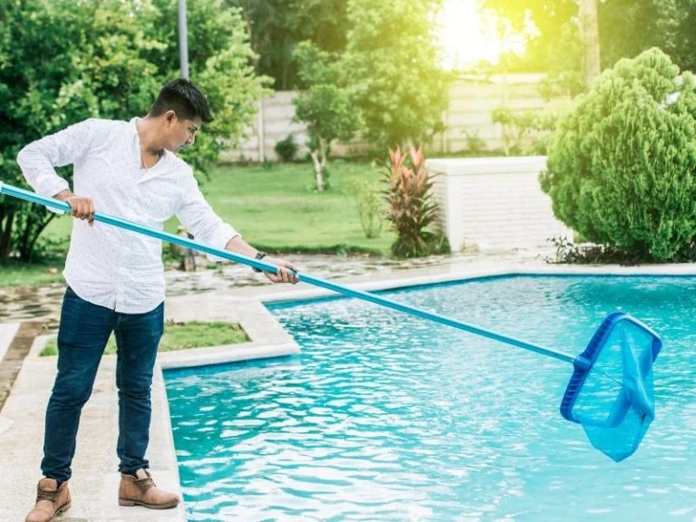 7 Best Pool Cleaning Nets Swim, Splash, and Clean