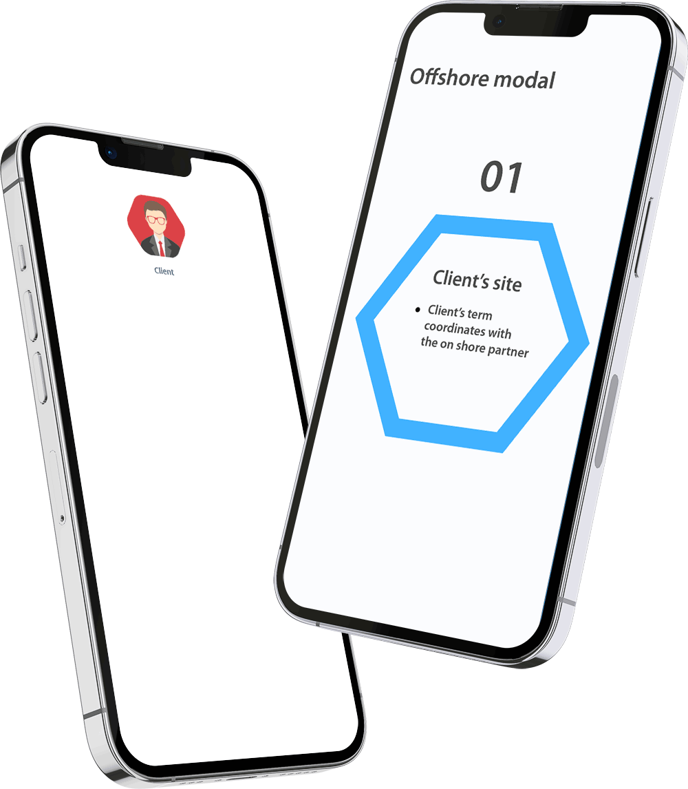 Transforming your Business with Offshore Software Development