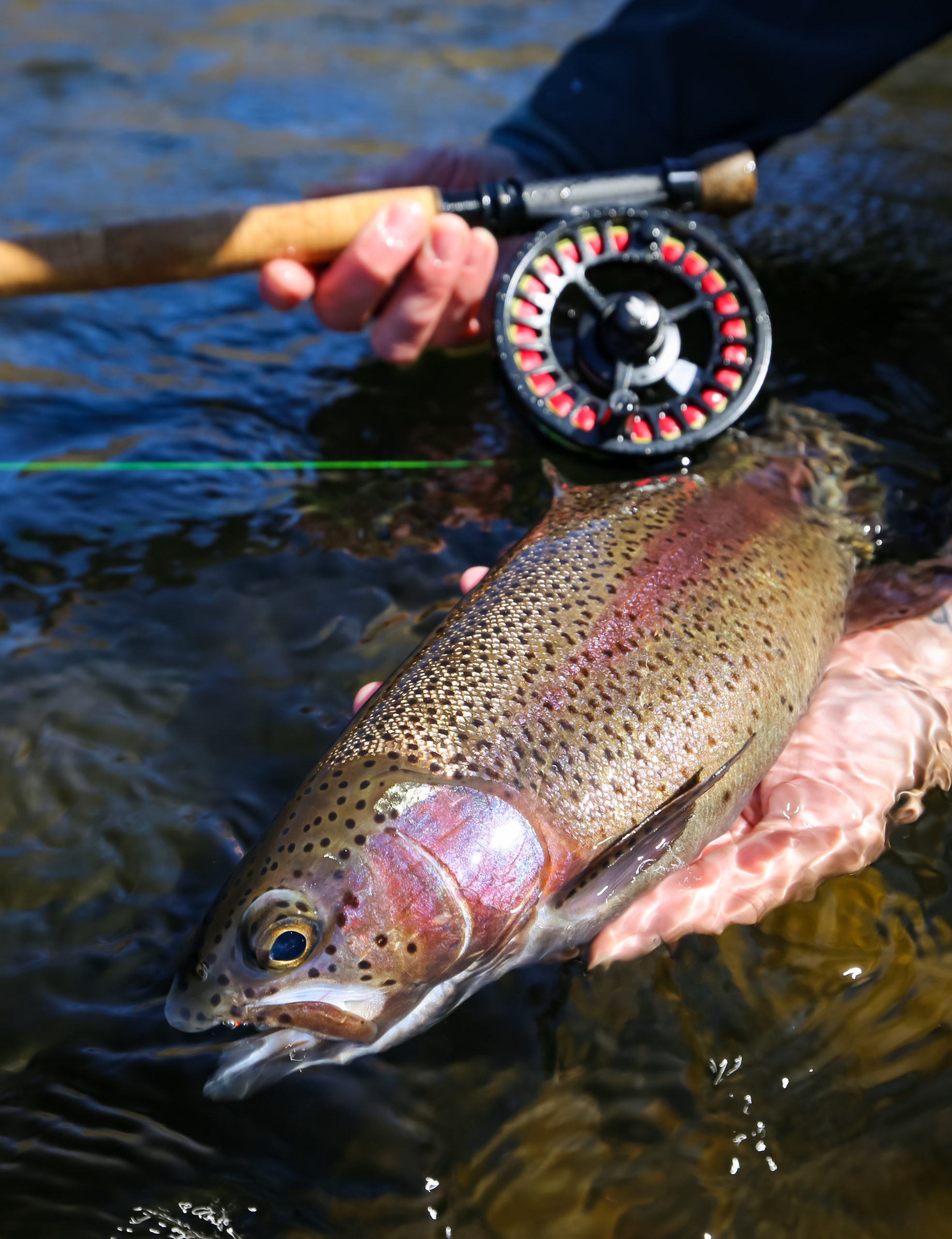 Fly Fishing & Fly Tying Classes in Portland The Portland Fly Shop