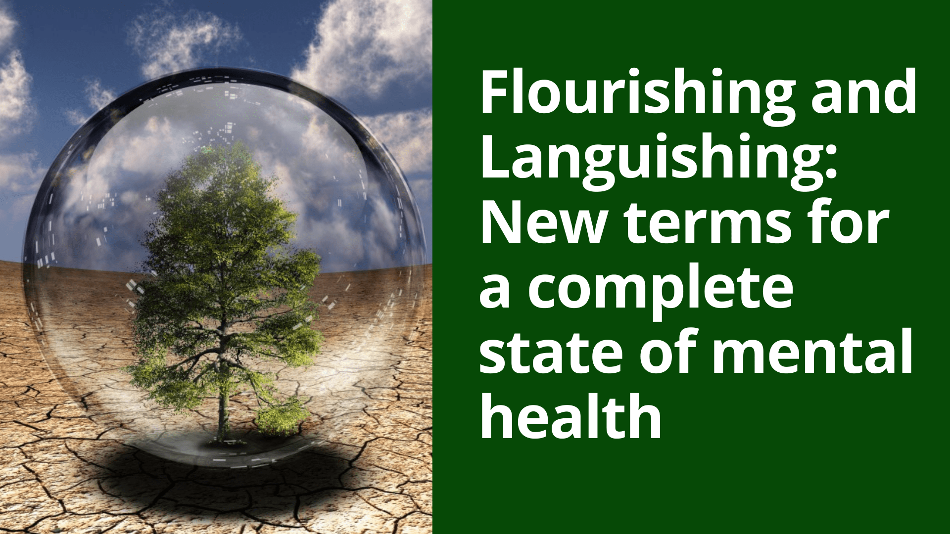 Languishing and Flourishing New terms for a complete state of mental