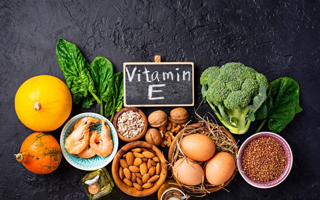 Vitamin E for your Dog The Possible Canine