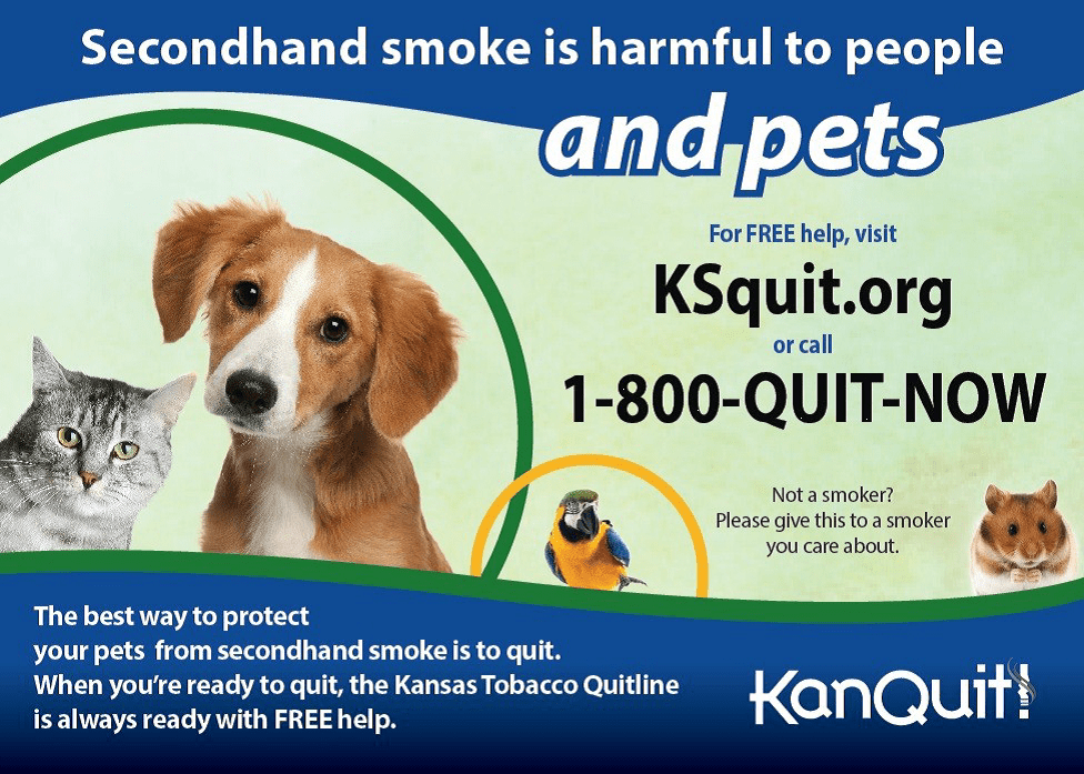 Secondhand Smoke is Harmful to People and Pets! The Salina Post