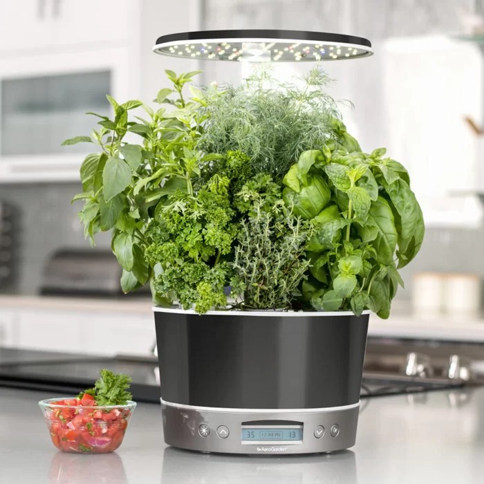 Ultimate Aerogarden Comparison Pros and Cons of the Top Aerogardens