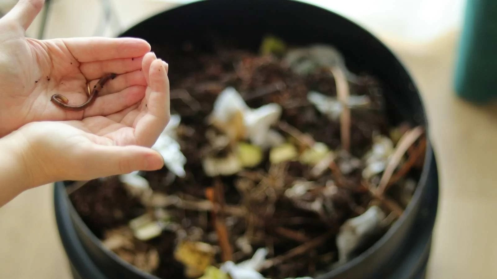 What's the Best Compost to Buy for Your Vegetable Garden? The Potager