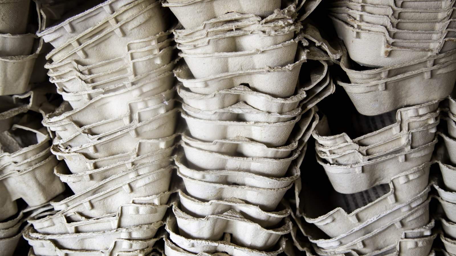 Composting Egg Cartons How to Turn Waste into Garden Gold The