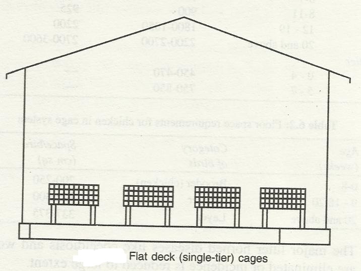 Poultry Housing Systems,Types of poultry house The Poultry Guide