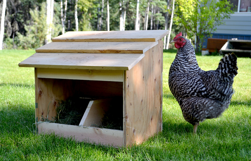 8 Free Chicken Nesting Box Plans And Ideas The Poultry Guide
