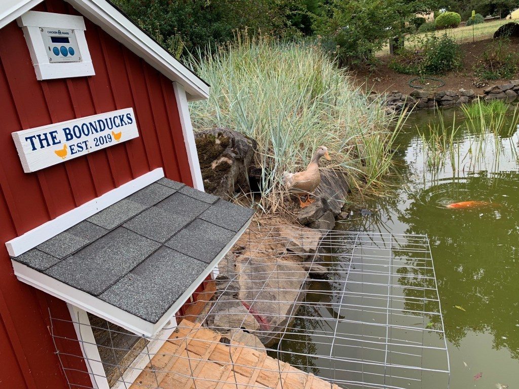 23 Duck House Plans With Tutorials That You Can Build In A Weekend The Poultry Guide