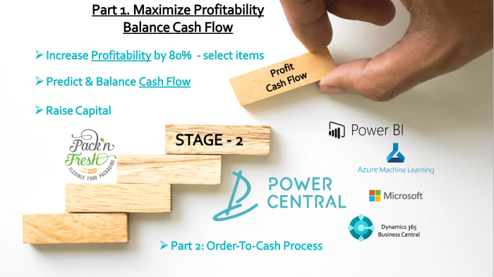 Income statement profitanlity net worth or cadh flows
