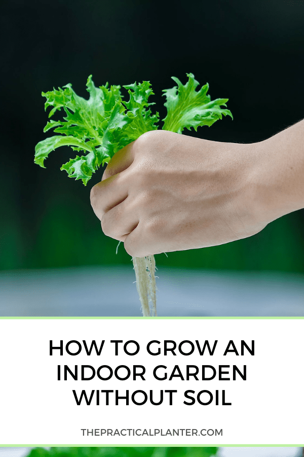 How to Grow an Indoor Garden Without Soil The Practical Planter