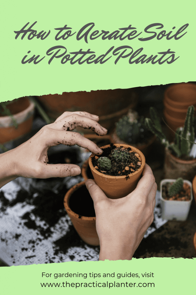 How to Aerate Soil in Potted Plants (And Why You Should Do