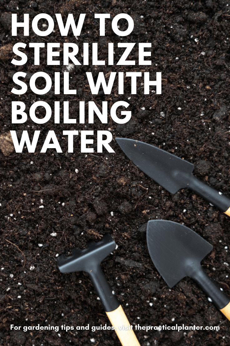 How to Sterilize Soil with Boiling Water (Plus 5 Alternative Methods to Try) The Practical Planter