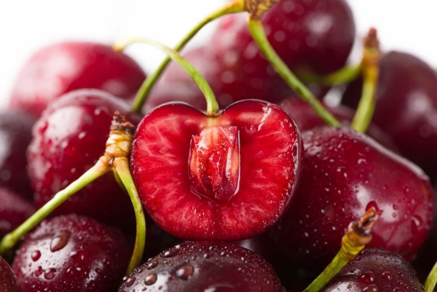 Can You Really Grow a Cherry Tree From a Cherry Pit!? The Practical