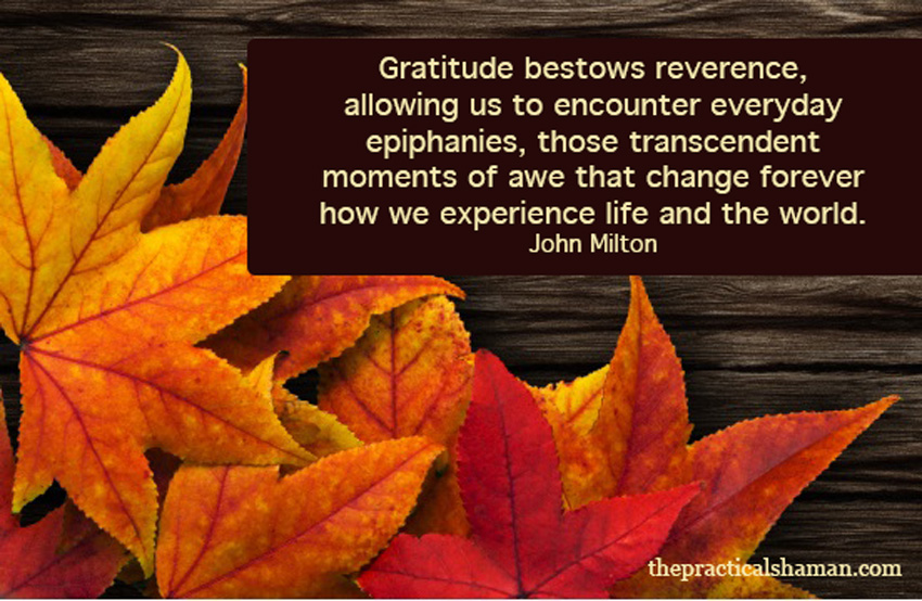 Gratitude is the key to Happiness Renee Baribeau The Practical Shaman
