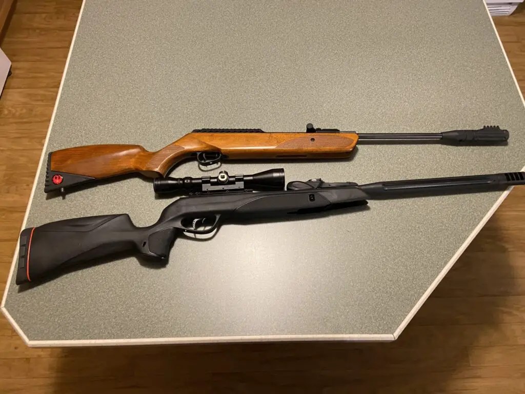 What are the Best Squirrel Guns for Beginners?