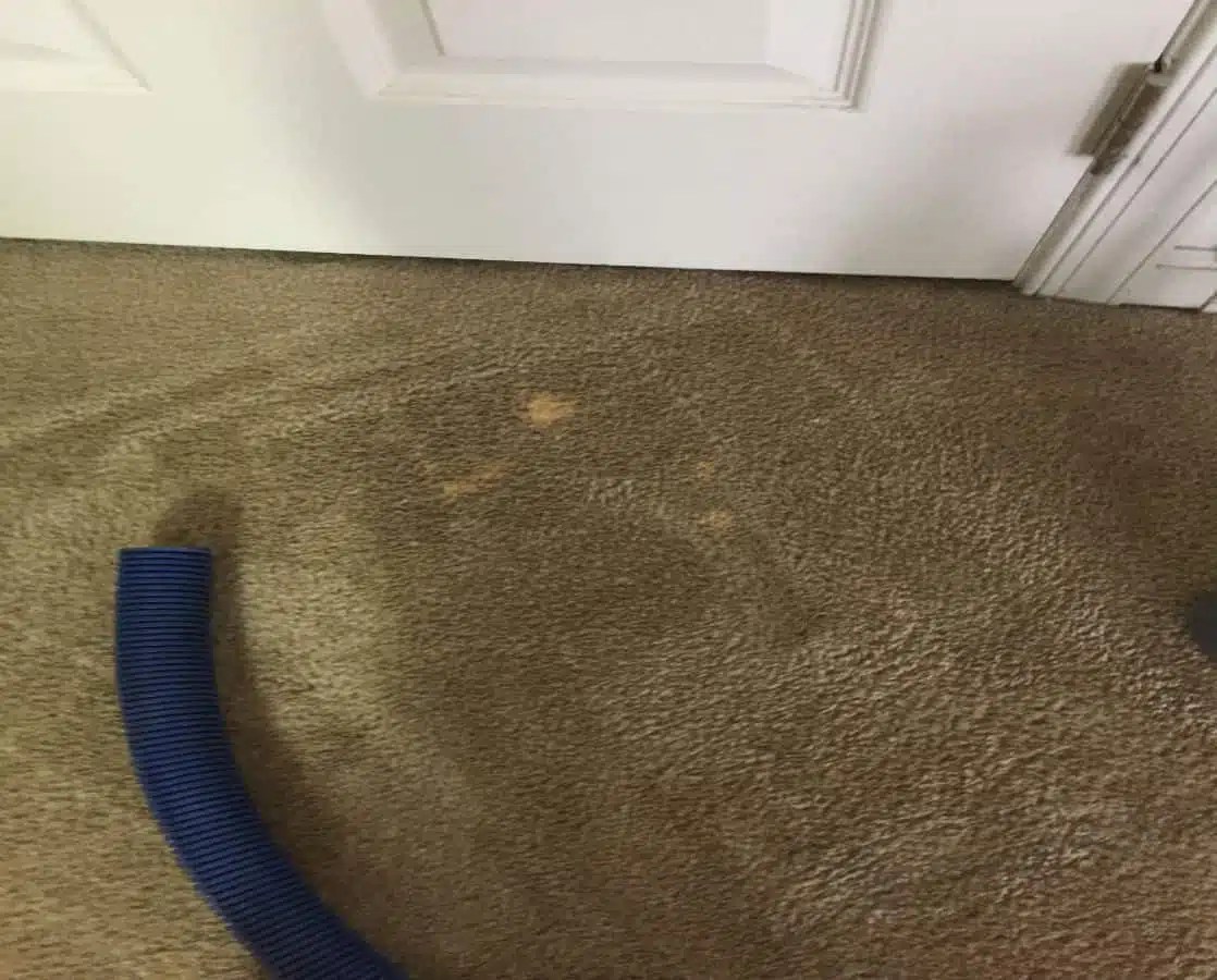 The Premier Clean Carpet Repair Springs Colorado
