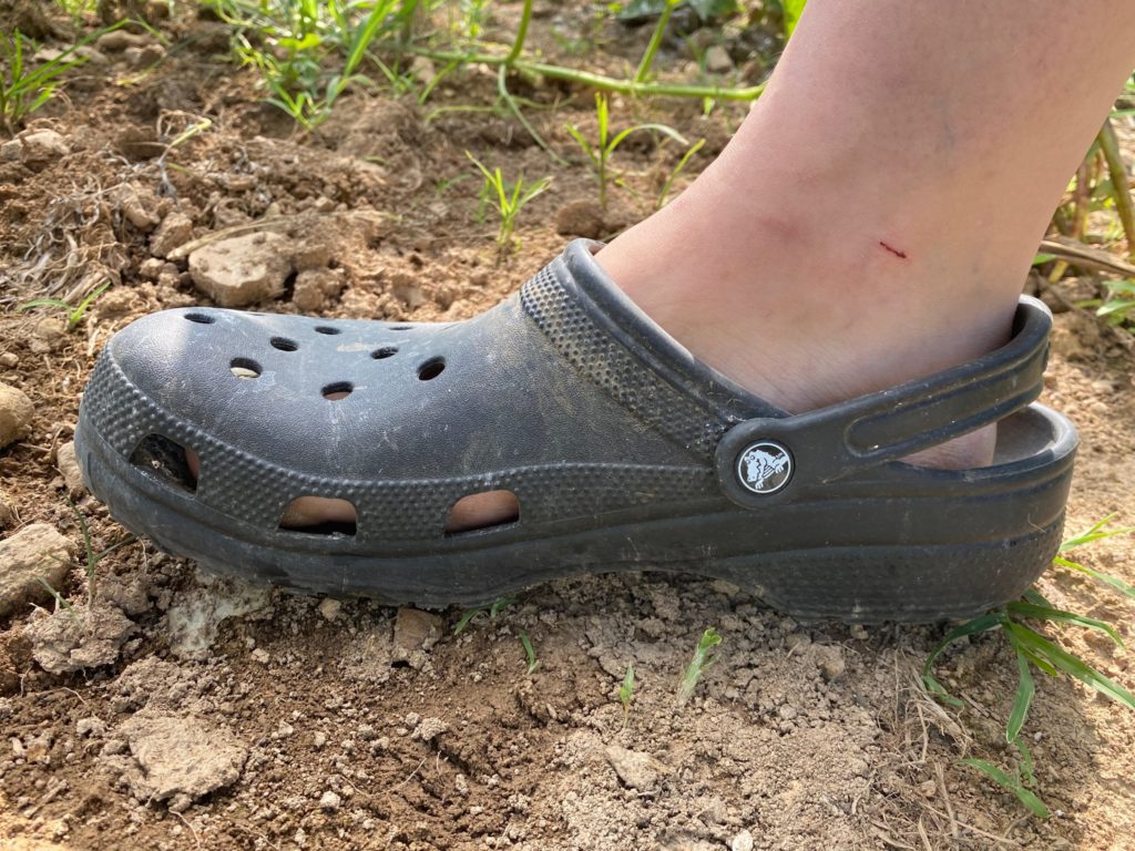 Review Crocs — yes, the shoe — as a prep The Prepared