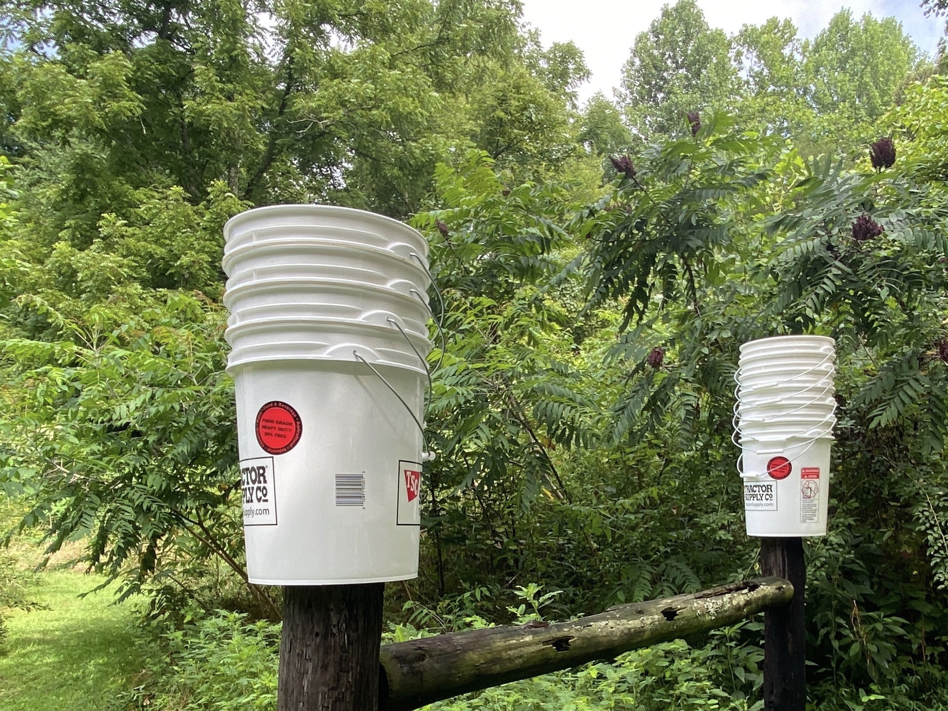 Never too many buckets Ten uses for my favorite tool The Prepared