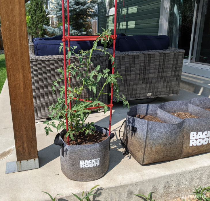 Review Back to the Roots fabric raised garden bed, selfwatering Olla system, and organic seeds