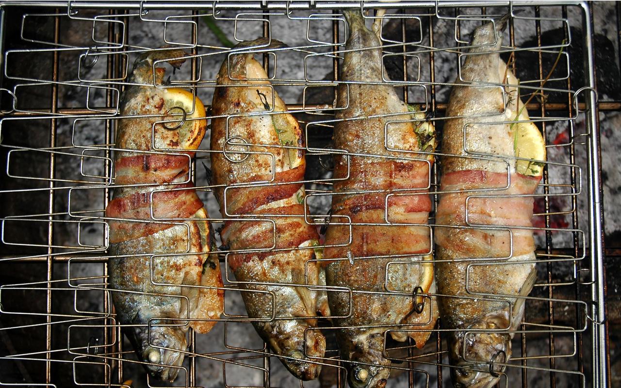 10 Ways to Catch a Fish Without Any Equipment The Prepper Journal