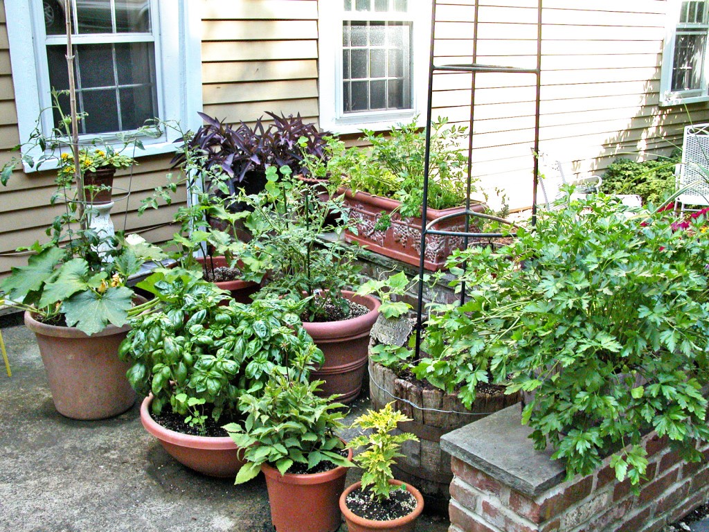 Productive & Easy Container Gardening The Prepper Journal
