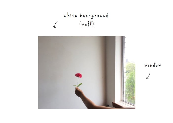 white background images for instagram Viral Update