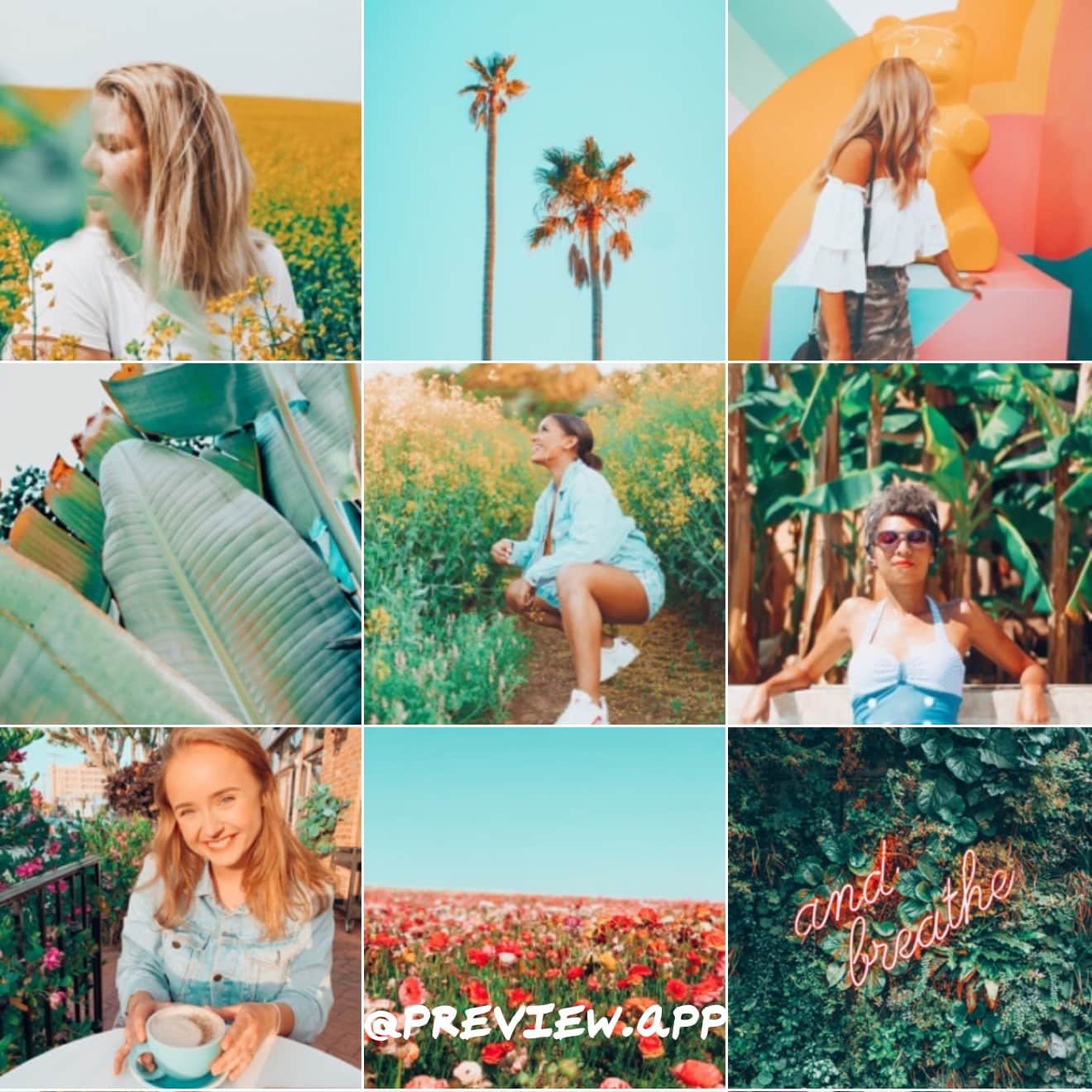 Instagram Blogger Presets in ONE APP (Easy + Fast + Fabulous)