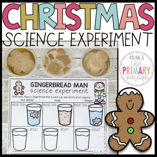Gingerbread Man science experiment The Primary Parade