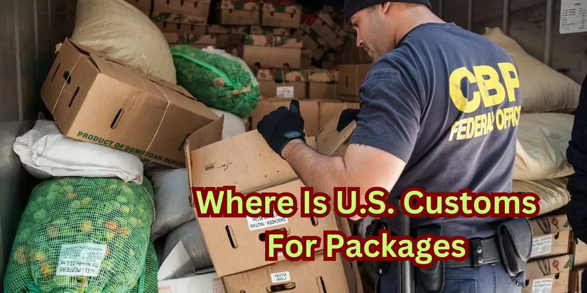 Where Is U.S. Customs For Packages A Guide to Shipping