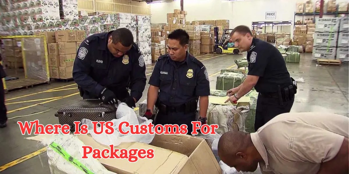 US Customs for Packages Your Guide to Shipping Regulations