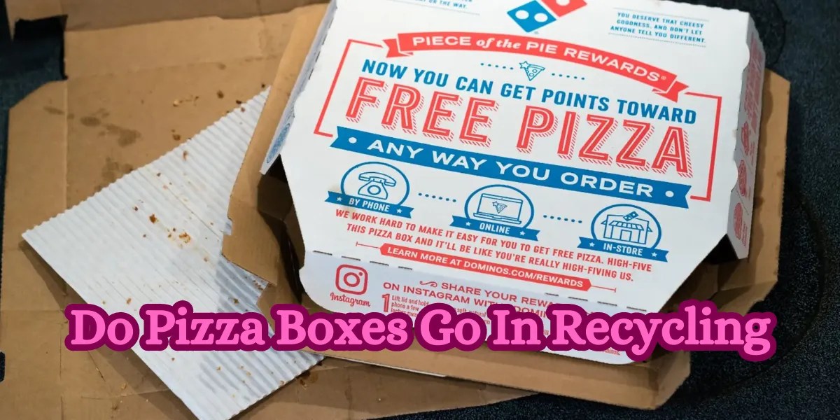 Can Pizza Boxes Be Recycled? EcoFriendly Tips