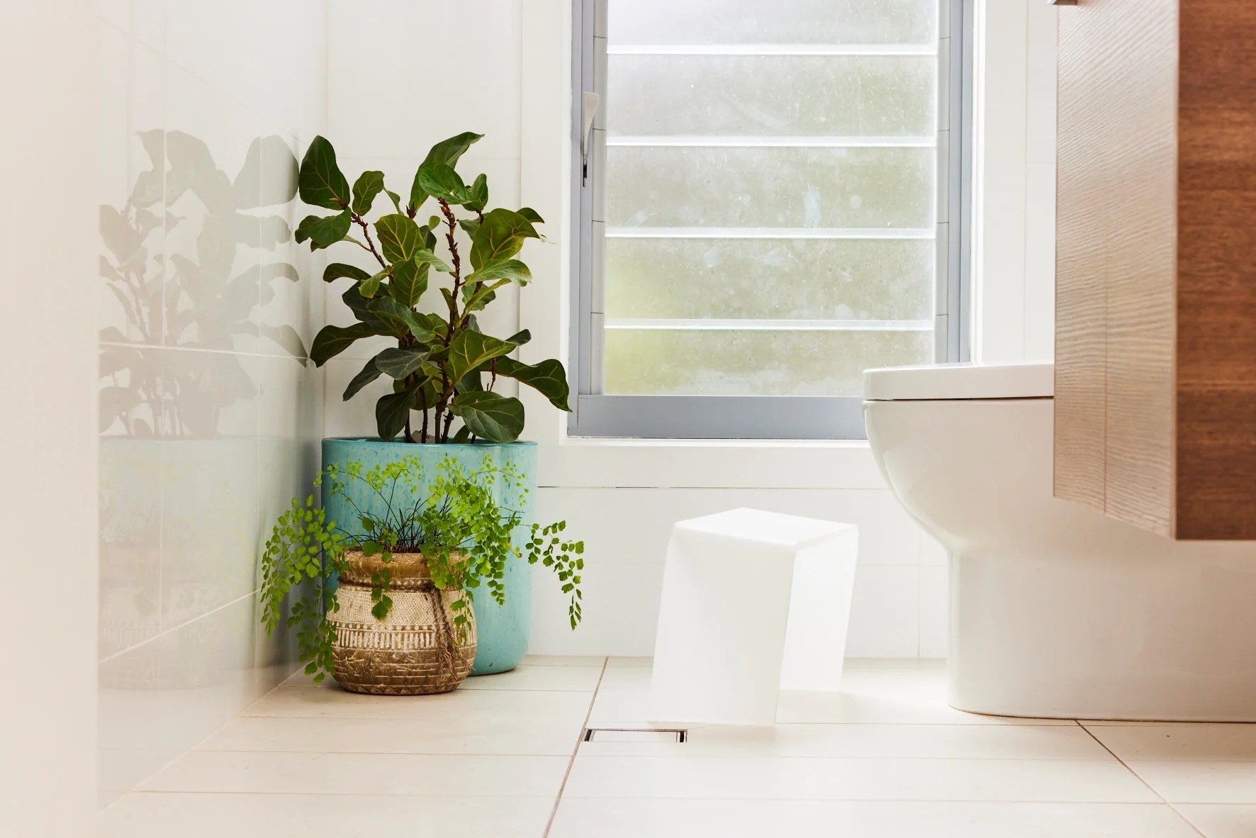 How to Sit on the Toilet PROPPR Helps you Poop Better PROPPR