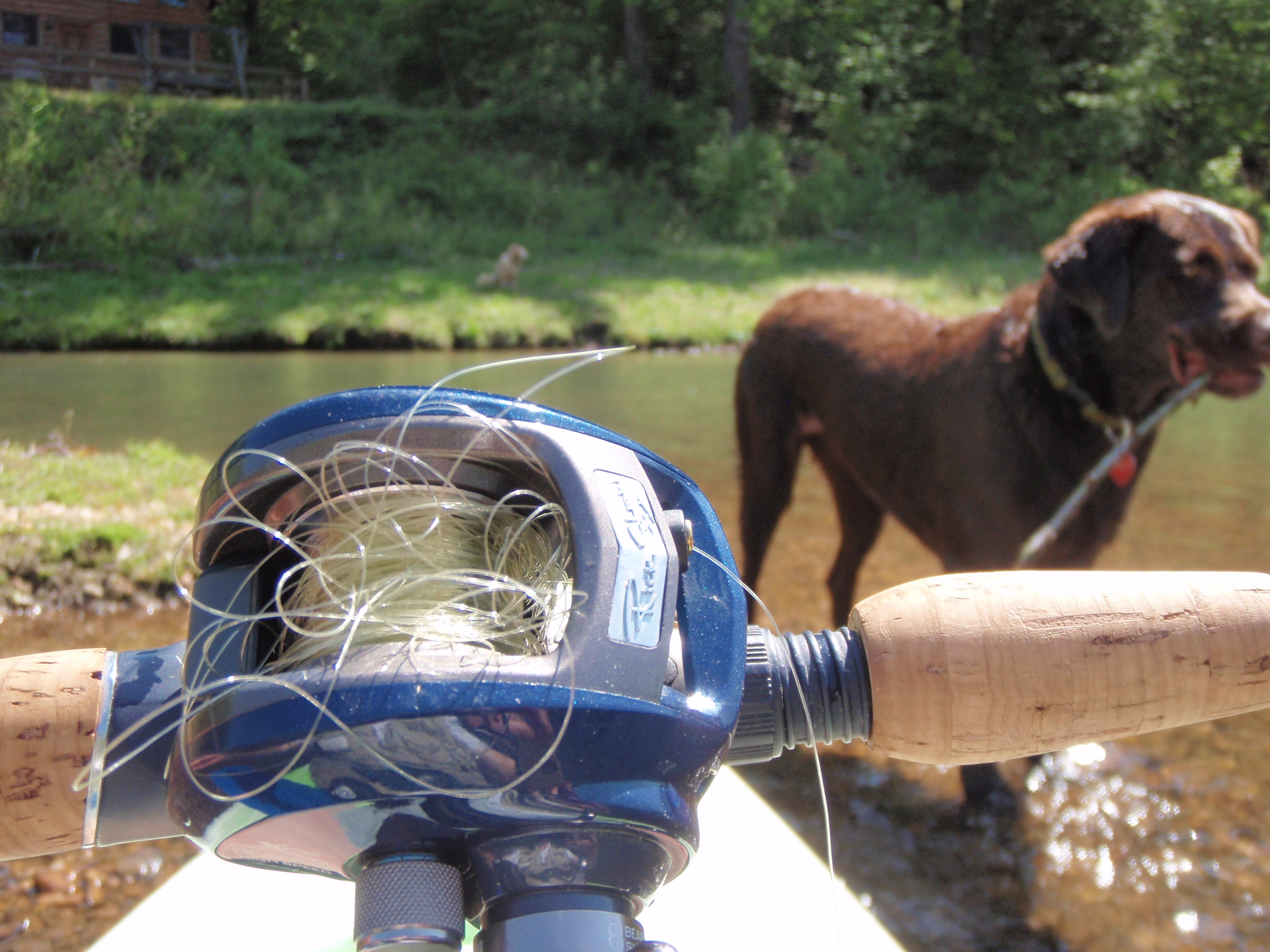 Vasectomy 101Gainesville’s Northeast Urology Group (NGUA