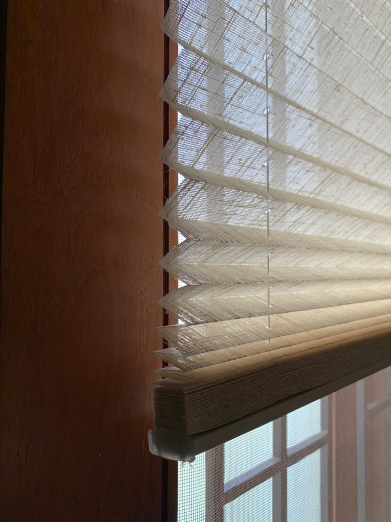 TopDown BottomUp Pleated Blinds The Protectors