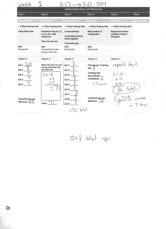My Results From Using The Armstrong Pullup Program (Review) The Pull