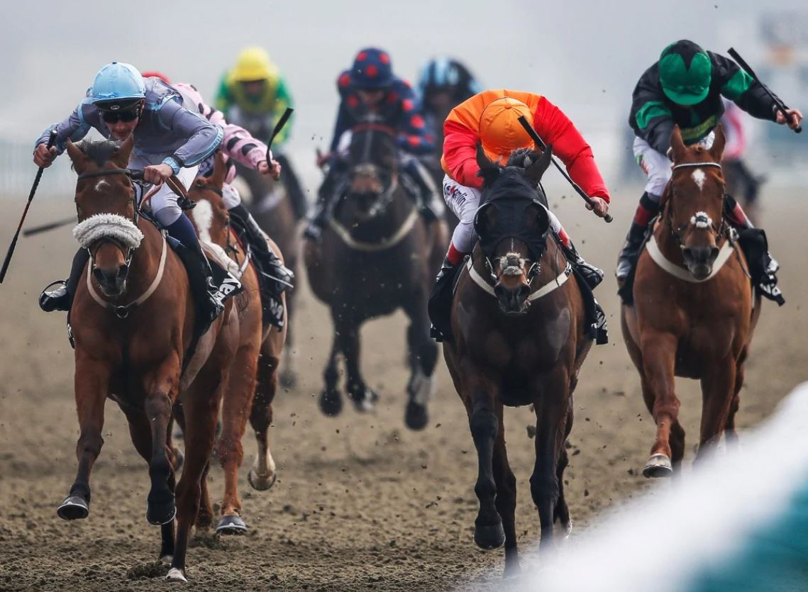 Hong Kong Horse Racing Tips