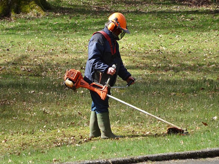 Gardening Archives The PushBack