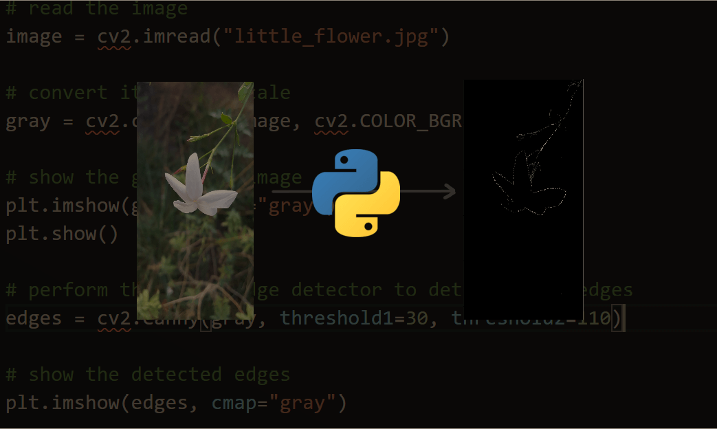 How to Use KMeans Clustering for Image Segmentation using OpenCV in