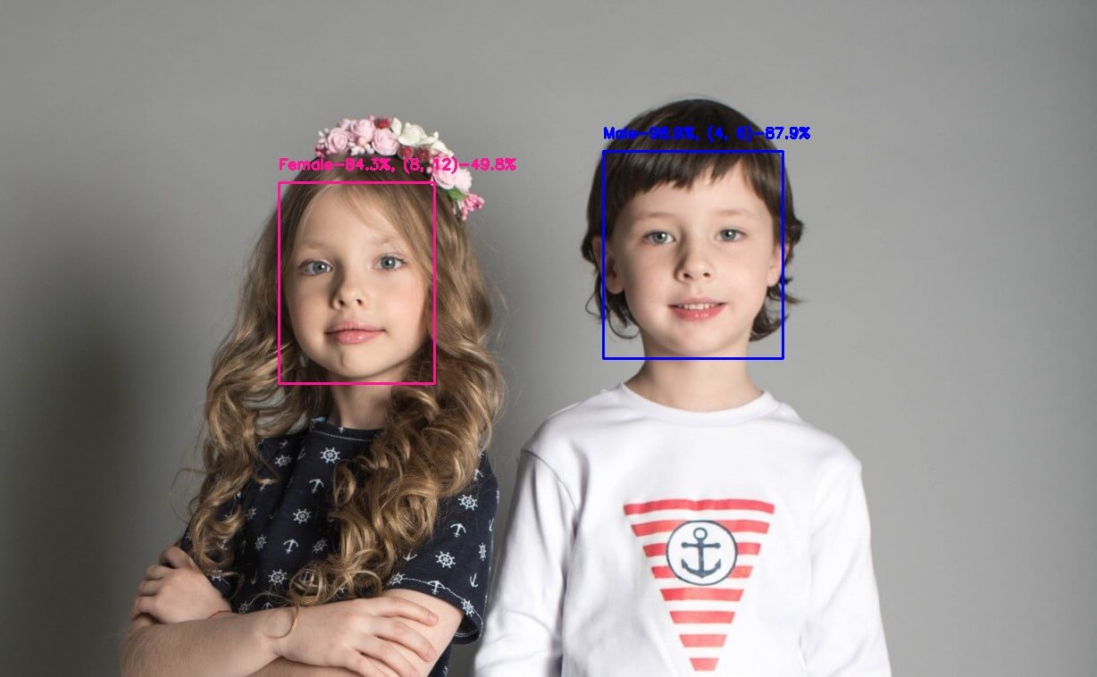 Age and Gender Detection using OpenCV in Python The Python Code