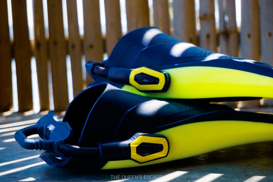 Decathlon SCUBA Diving Gear Review The Queen's Escape