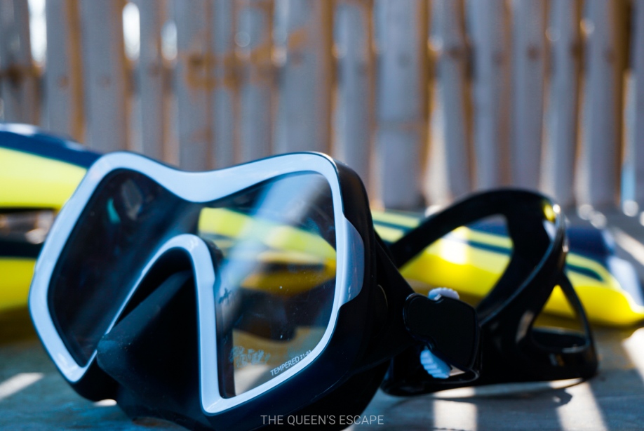 Decathlon SCUBA Diving Gear Review The Queen's Escape