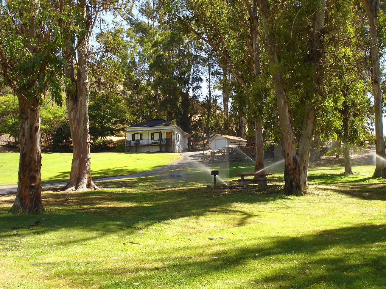 The Zodiac Killer Blue Rock Springs Murder Silencer or not?