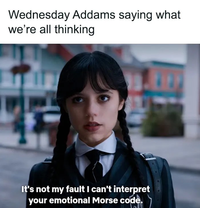 20 Wednesday Addams Memes From The Coolest Netflix Series The Quib