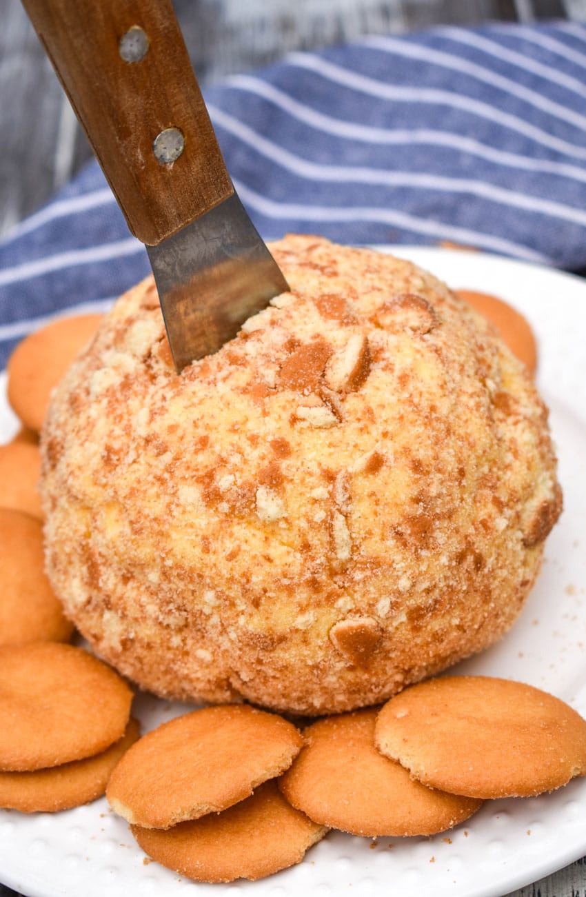 a banana pudding cheese ball surrounded by nilla wafers on a small white plate